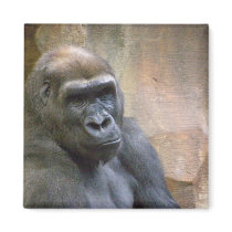 GORILLA, magnet by LoisRV GORILLA, magnet