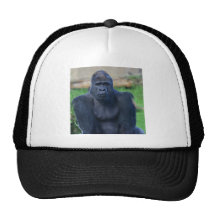 Gorilla Mesh Hats