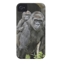 Gorilla mom and baby Piggyback #1