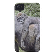 Gorilla Mom and baby Piggyback #2  close-up