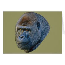 Gorilla Picture cards