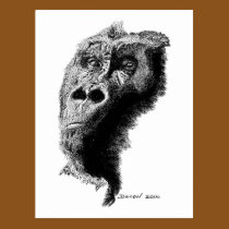 Gorilla postcards