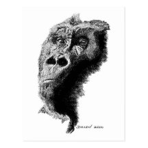 Gorilla Post Card