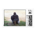 gorilla postage