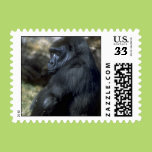 Gorilla Postage Stamps