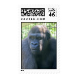 Gorilla postage
