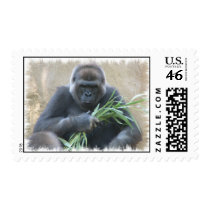 Gorilla Postage Stamp
