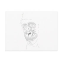 Gorilla Postcards