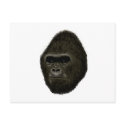 Gorilla postcards by randum Gorilla postcards