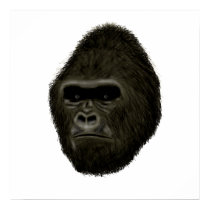 Gorilla posters