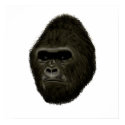 Gorilla posters by randum Gorilla posters