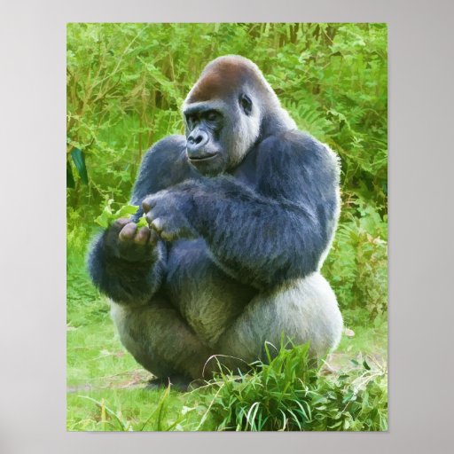 Gorilla Print Zazzle
