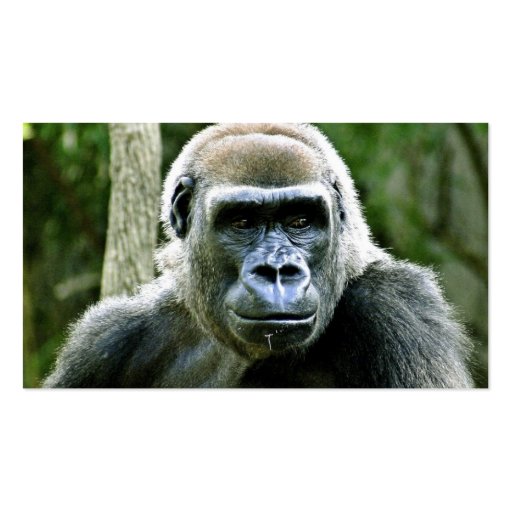 Gorilla Profile Business Card (back side)