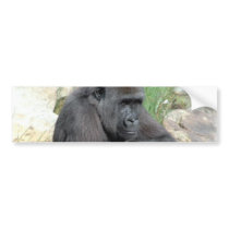 Gorilla Sitting Bumper Sticker