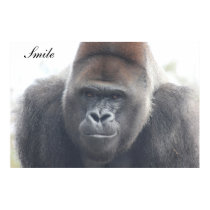 Gorilla Smile Print