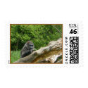 Gorilla Stamp