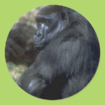 Gorilla Round Sticker