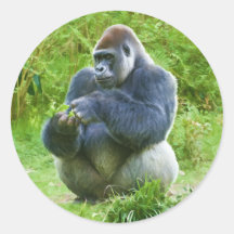 Gorilla Sticker