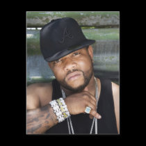 Gorilla Zoe Postcard - Press Pic postcards