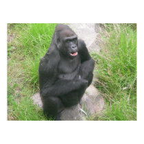 gorillas 007 canvas posters