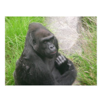 gorillas 008 canvas posters