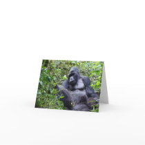 Gorillas- Rwanda Cards