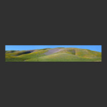 Gorman Hills (Evening 2) posters