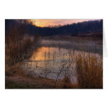 Gorman Nature Center Frog Pond Greeting Card