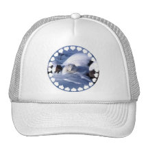 Gorra de béisbol del Fox ártico