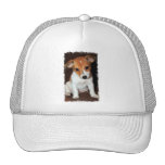 Gorra de béisbol del perro de perrito de Jack Russ