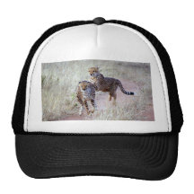 Gorra del guepardo