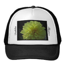 Gorra - flor amarilla de la dalia