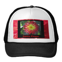 Gorra - flor amarilla roja de la dalia