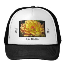 Gorra - La Dalia Amarilla