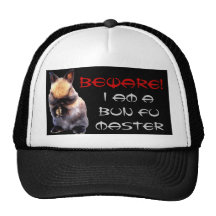 Gorra principal de Fu del bollo