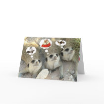 Goshawk? Santa! Eagle? - Seasons Greetings cards