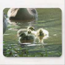 Goslings Mousepad mousepads