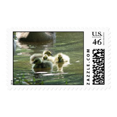 Goslings Postage