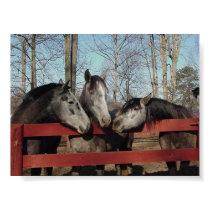 Gossip Corner posters