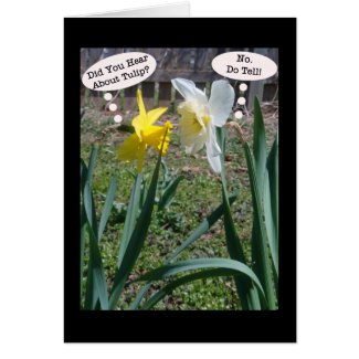 Gossiping Daffies Photography Humor Cards