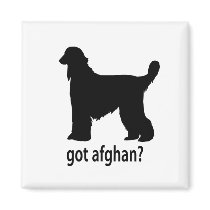 Got Afghan Hound Refrigerator Magnets
