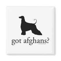 got afghans? magnets
