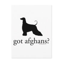 got afghans? postcards by handandpaw got afghans? postcards