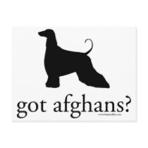 got afghans? postcards by handandpaw got afghans? postcards