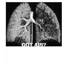 GOT AIR? shirt