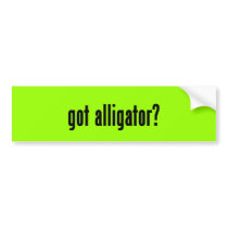 got alligator? bumper sticker
