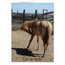 Got an itch? cards by Killlashandra Got an itch? cards