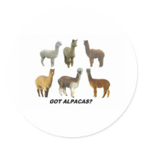 Got Apacas? Stickers