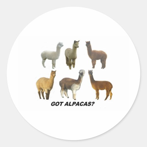 Got Apacas? Stickers
