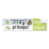 Got Asclepias (Milkweed)? Bumper Stickers